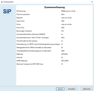 Screenshot Jitsi summary