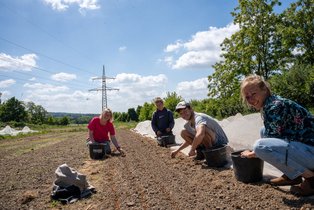 Feldzeit Frühjahr 2025