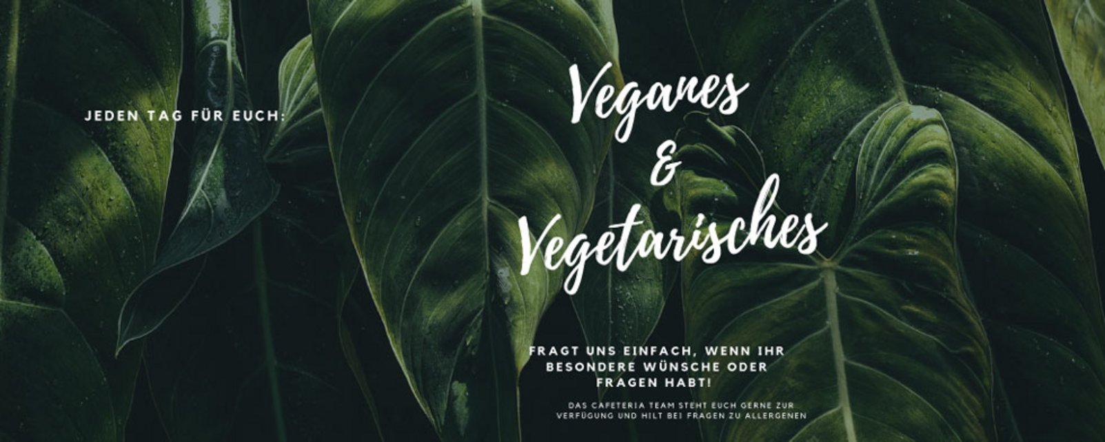 Jeden Tag für Euch: Veganes & Vegetarisches. Fragt und einfach, wenn ihr besondere Wünsche oder Fragen habt! Das Cafeteria Team steht euch gerne zur Verfügung und hilft bei Fragen zu Allergenen. 