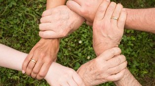 Hands of different ages (with and without wedding ring) grab each other's wrist in a circle against the background of a green meadow. 